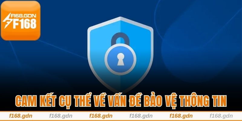 Cam kết cụ thể về vấn đề bảo vệ thông tin trên hệ thống