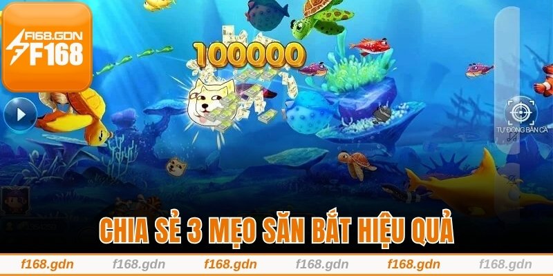 Chia sẻ 3 mẹo săn bắt hiệu quả