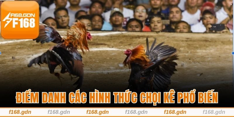 Điểm danh các hình thức chọi kê phổ biến được ưa chuộng