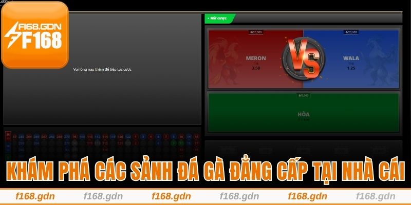 Khám phá các sảnh đá gà uy tín và đẳng cấp tại nhà cái