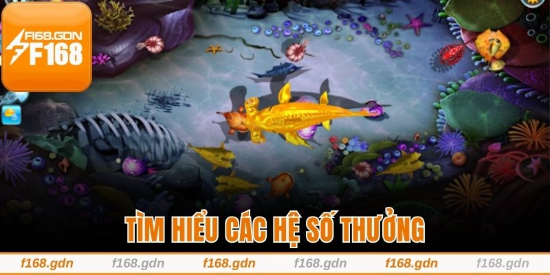 Tìm hiểu các hệ số thưởng
