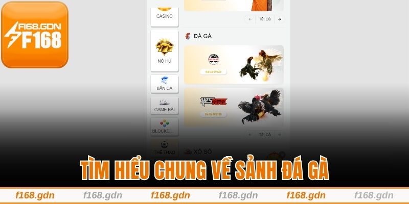 Tìm hiểu chung về sảnh đá gà